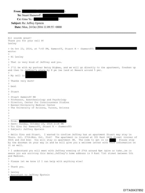 Preview of EFTA00437892