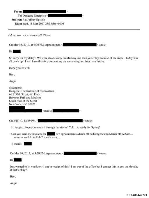 Preview of EFTA00447224