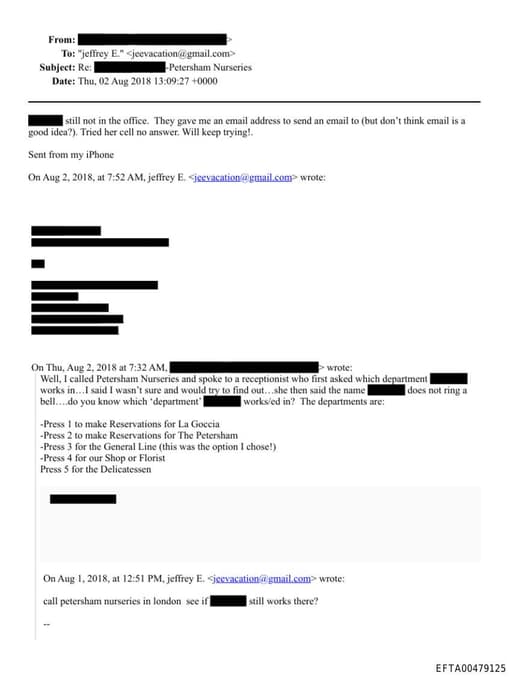 Preview of EFTA00479125