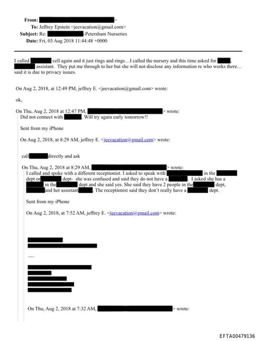 Preview of EFTA00479136