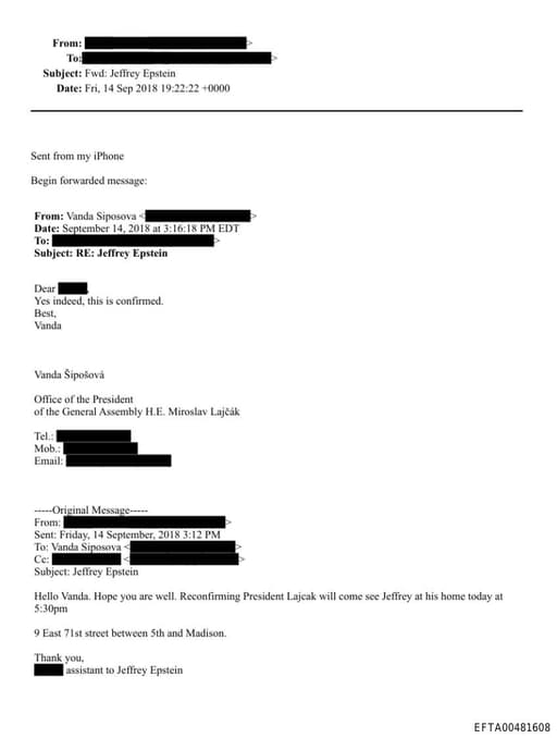 Preview of EFTA00481608