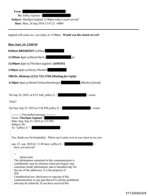 Preview of EFTA00481926