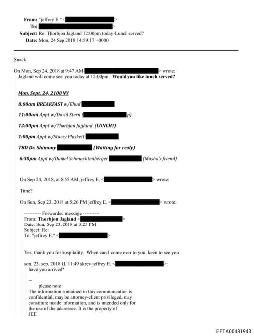 Preview of EFTA00481943