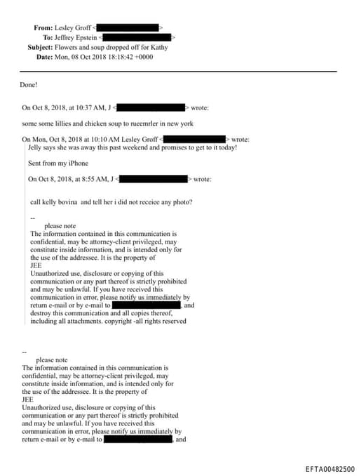 Preview of EFTA00482500