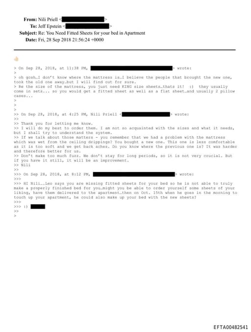 Preview of EFTA00482541