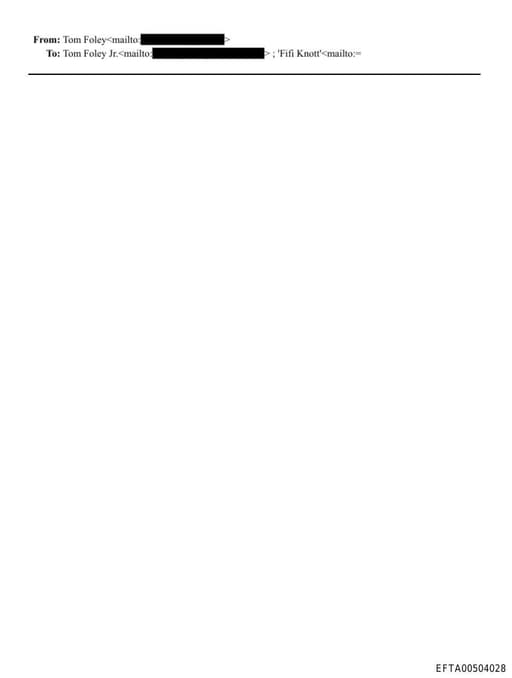 Preview of EFTA00504028