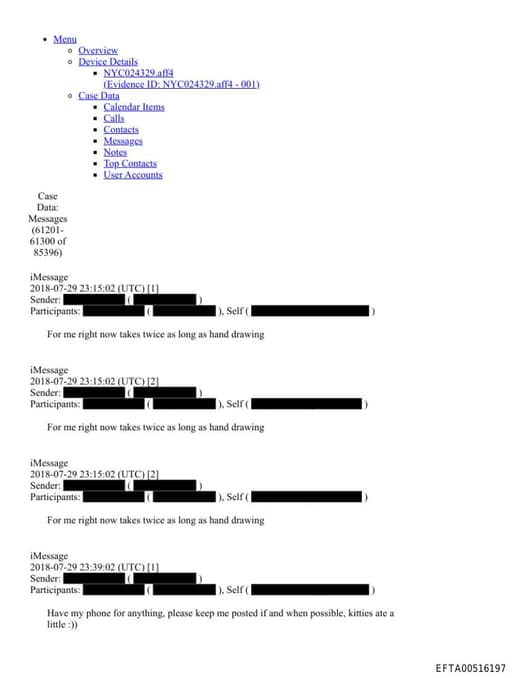 Preview of EFTA00516197