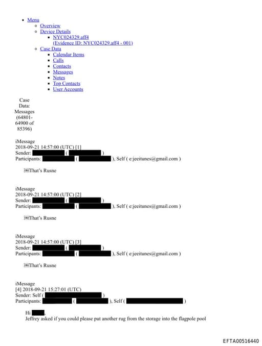 Preview of EFTA00516440