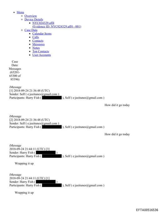 Preview of EFTA00516536