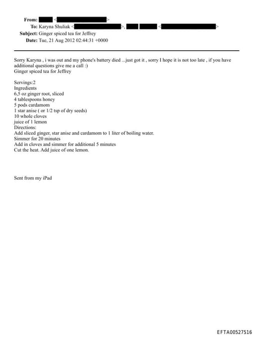 Preview of EFTA00527516