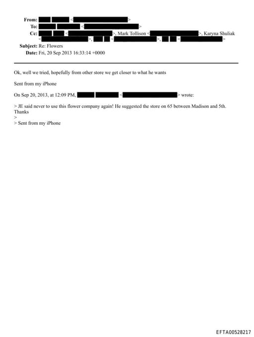 Preview of EFTA00528217