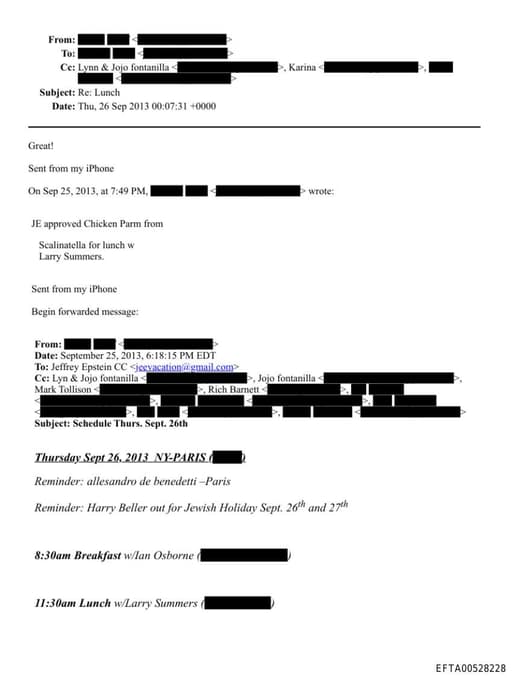 Preview of EFTA00528228