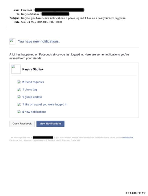 Preview of EFTA00530733