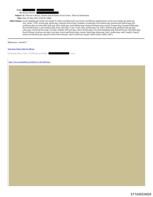 Preview of EFTA00534020