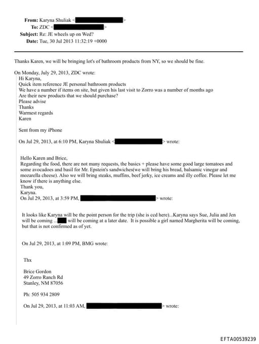 Preview of EFTA00539239