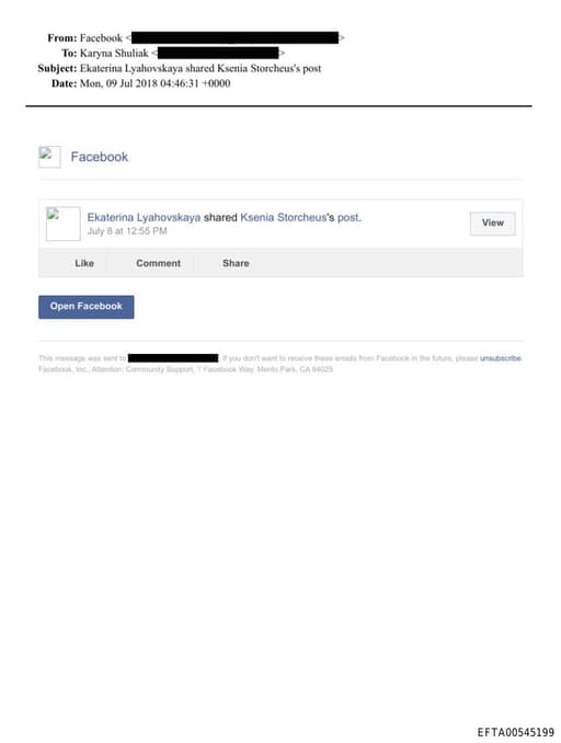 Preview of EFTA00545199