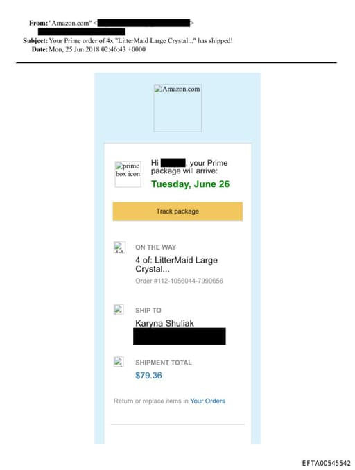 Preview of EFTA00545542