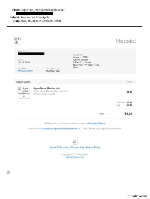 Preview of EFTA00545606