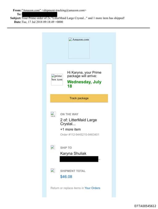 Preview of EFTA00545612