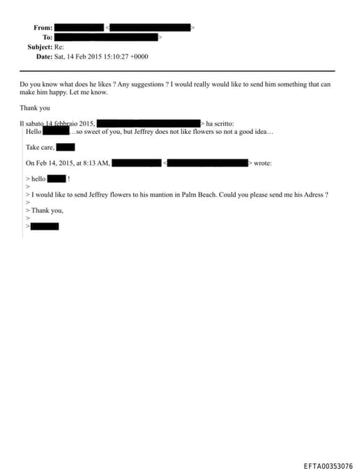 Preview of EFTA00353076