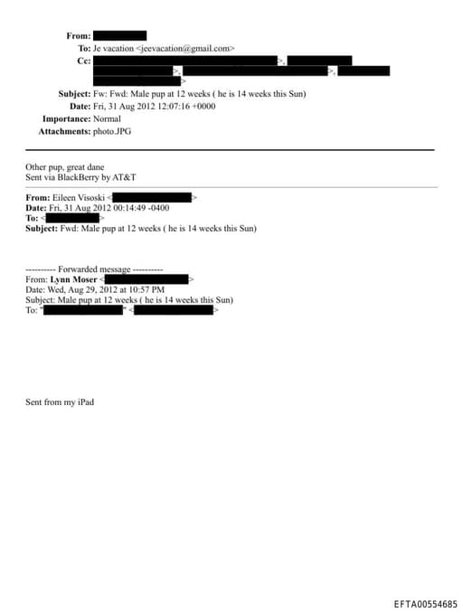 Preview of EFTA00554685