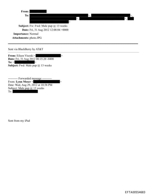 Preview of EFTA00554683