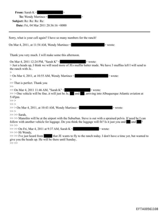 Preview of EFTA00561108