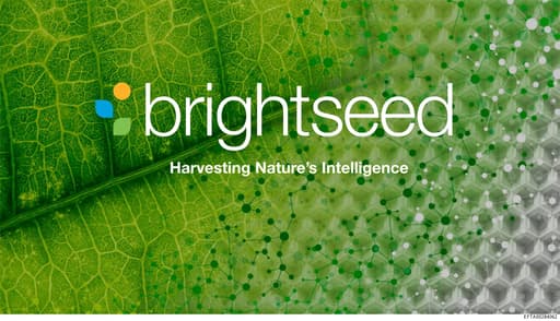 Preview of EFTA00284062