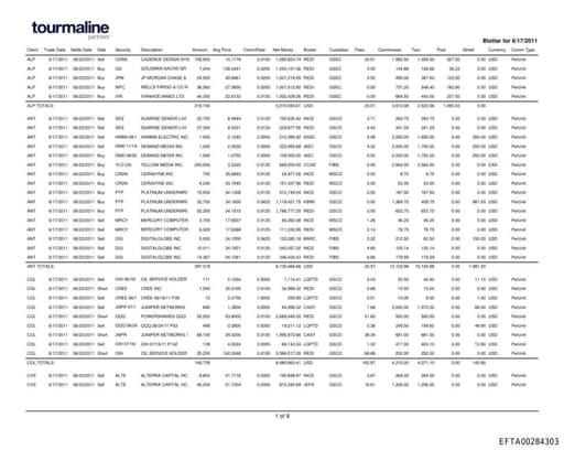 Preview of EFTA00284303