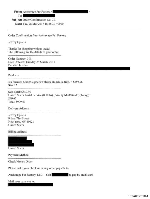 Preview of EFTA00570861