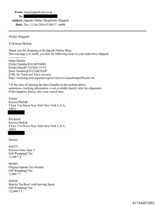 Preview of EFTA00572054