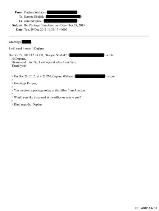 Preview of EFTA00573268