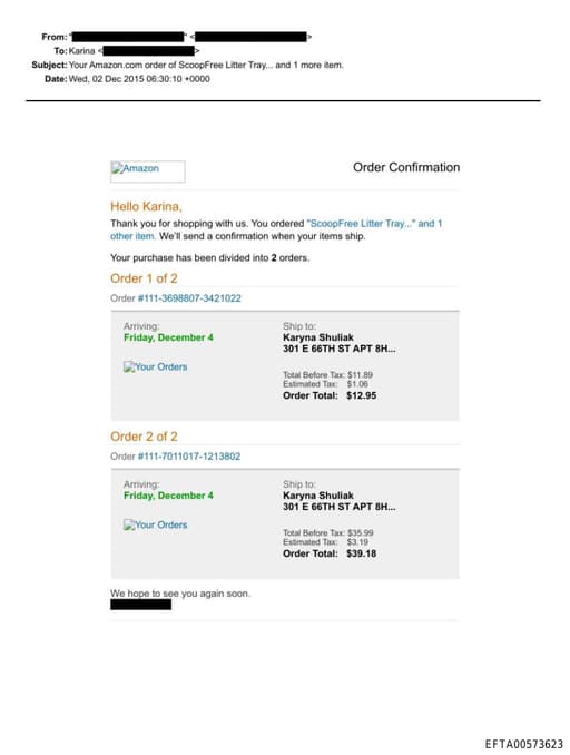 Preview of EFTA00573623