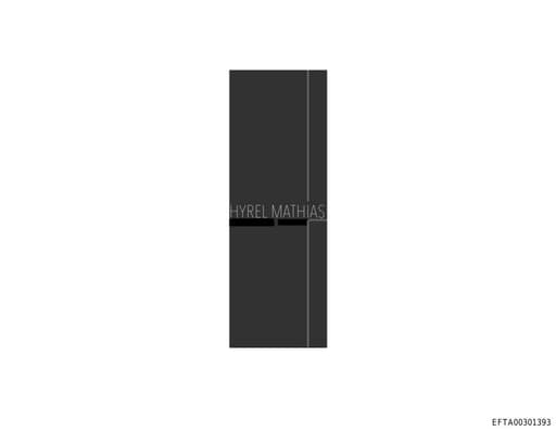 Preview of EFTA00301393