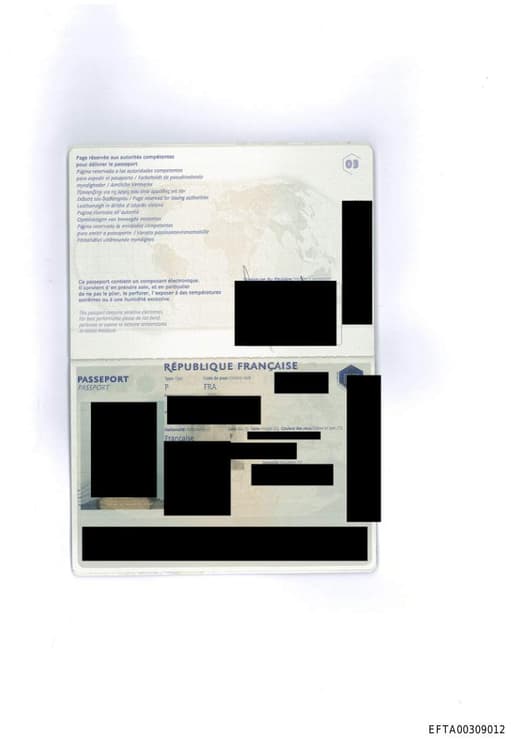 Preview of EFTA00309012