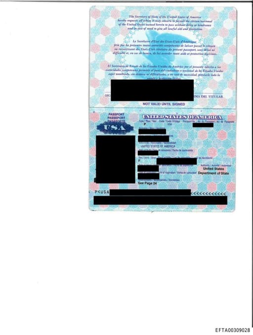 Preview of EFTA00309028