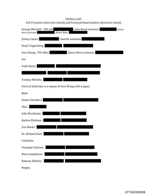 Preview of EFTA00309068