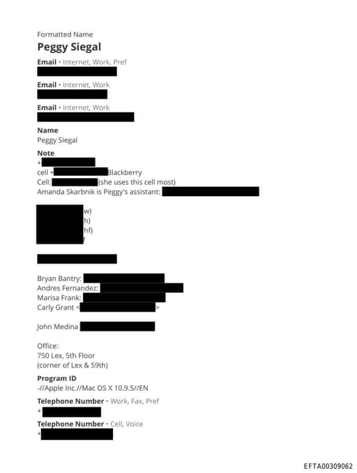 Preview of EFTA00309062