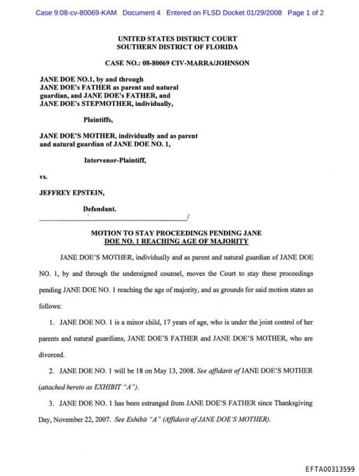 Preview of EFTA00313599