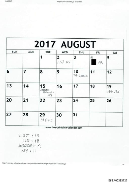 Preview of EFTA00313727