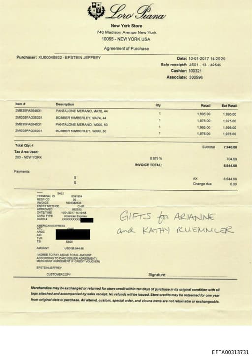 Preview of EFTA00313731