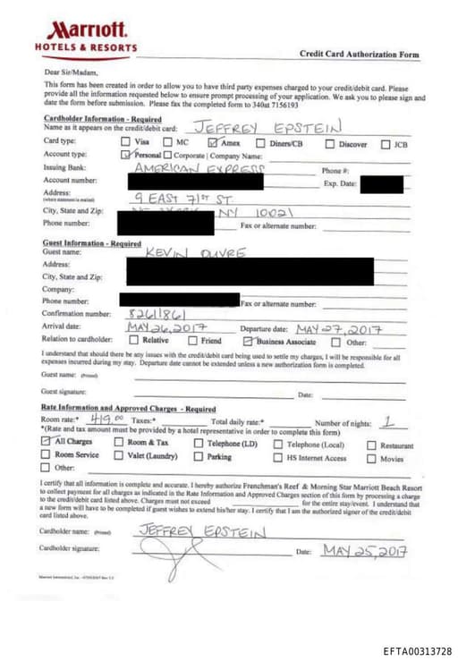 Preview of EFTA00313728