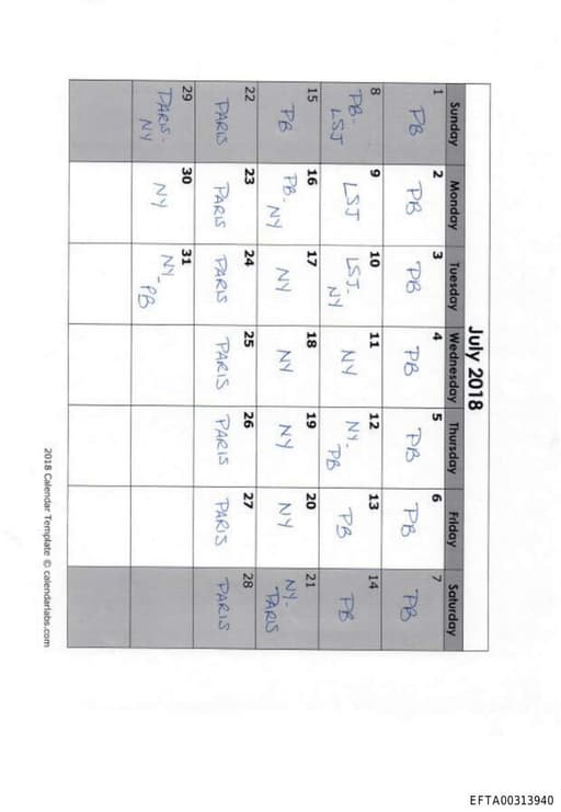 Preview of EFTA00313940