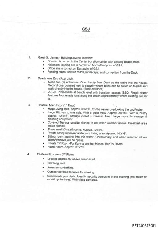 Preview of EFTA00313981