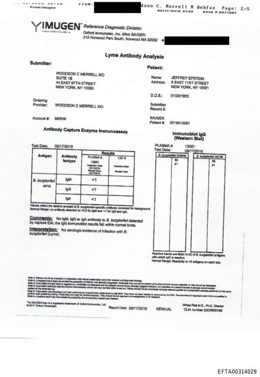 Preview of EFTA00314029