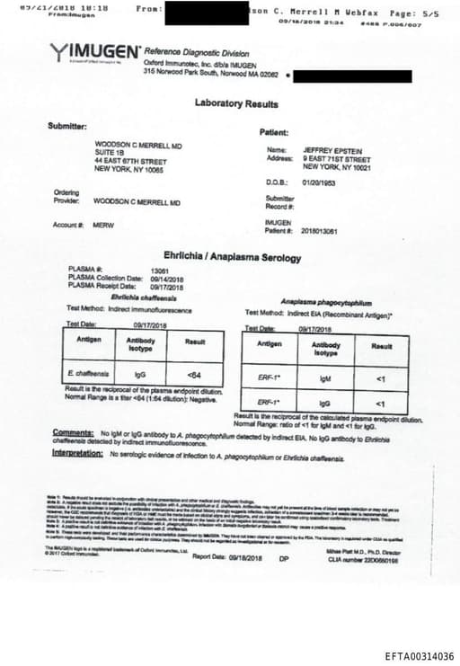 Preview of EFTA00314036