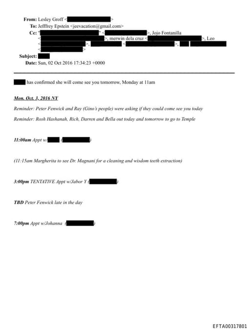 Preview of EFTA00317801