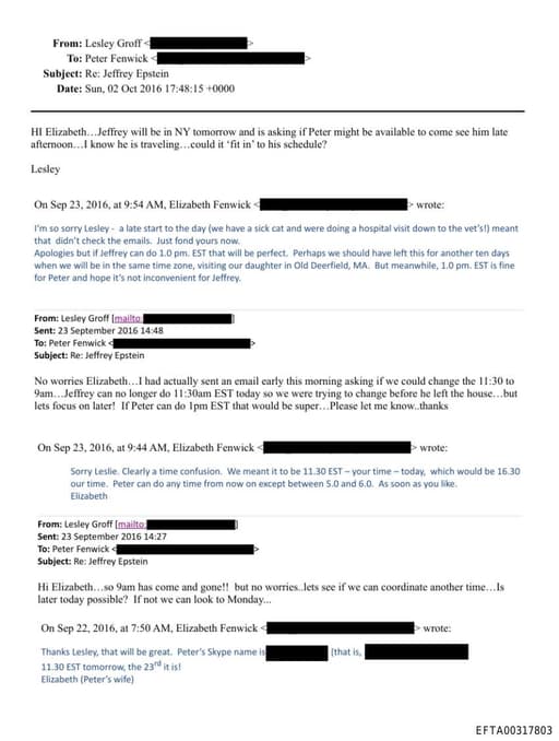 Preview of EFTA00317803