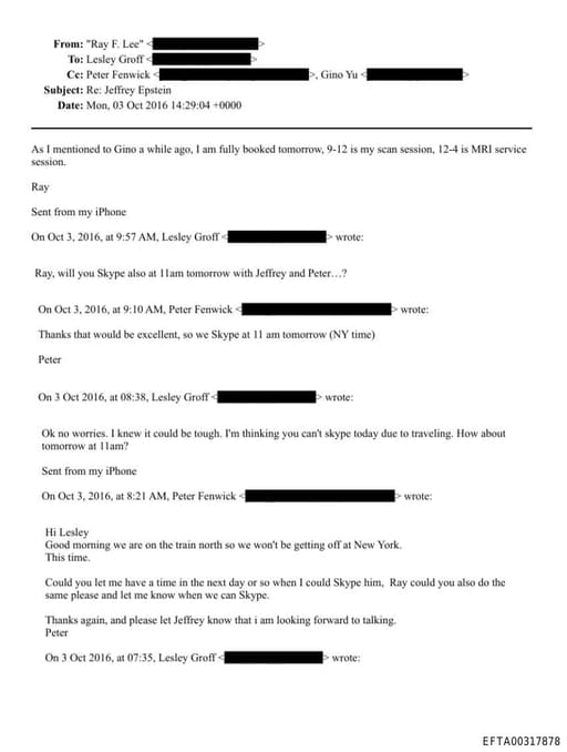 Preview of EFTA00317878