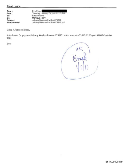 Preview of EFTA00600579